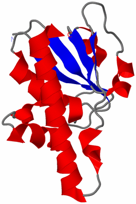 Image NMR Structure - model 1