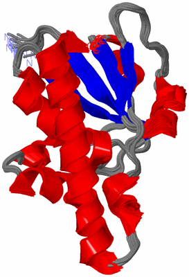 Image NMR Structure - all models