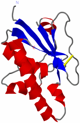 Image NMR Structure - model 1