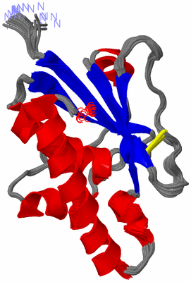 Image NMR Structure - all models