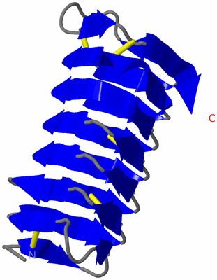 Image NMR Structure - model 1