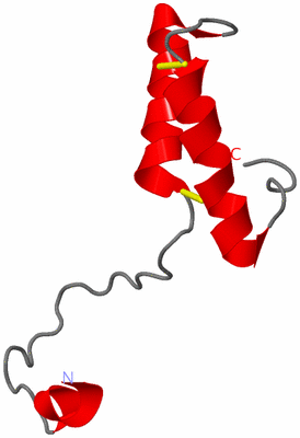 Image NMR Structure - model 1