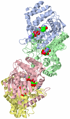 Image Asymmetric Unit
