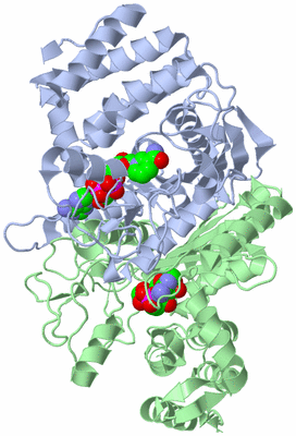 Image Biological Unit 1
