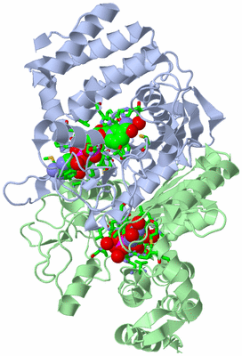 Image Biol. Unit 1 - sites