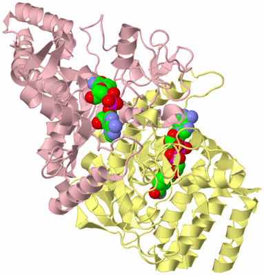Image Biological Unit 2