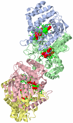 Image Asym. Unit - sites