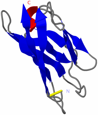Image NMR Structure - model 1