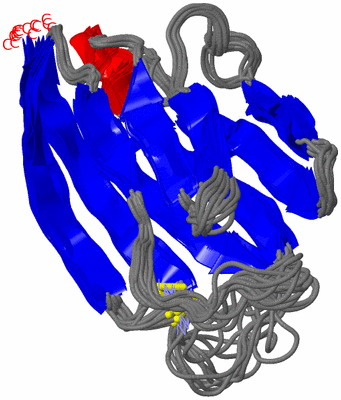 Image NMR Structure - all models