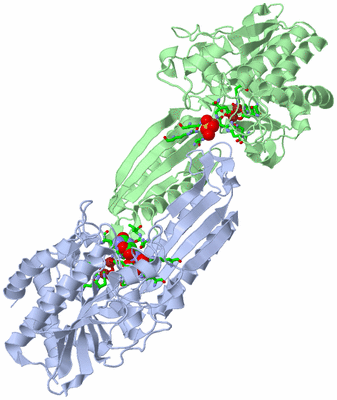 Image Asym./Biol. Unit - sites