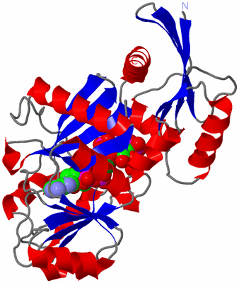 Image Asym./Biol. Unit