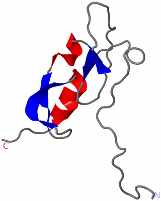 Image NMR Structure - model 1