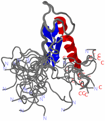 Image NMR Structure - all models