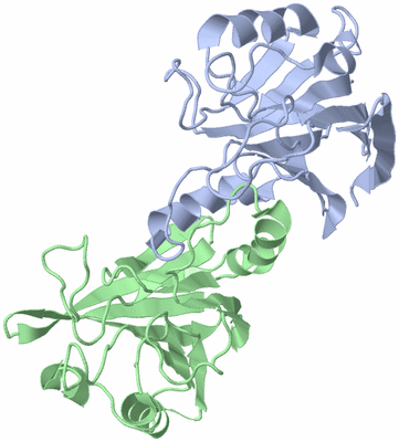 Image Biological Unit 3