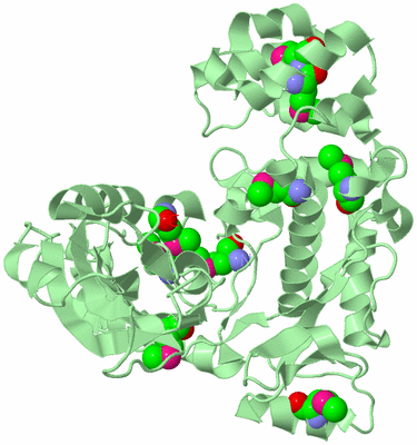 Image Biological Unit 2