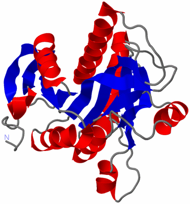 Image Asymmetric Unit