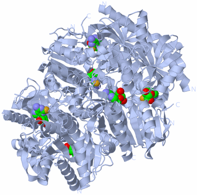 Image Biological Unit 1