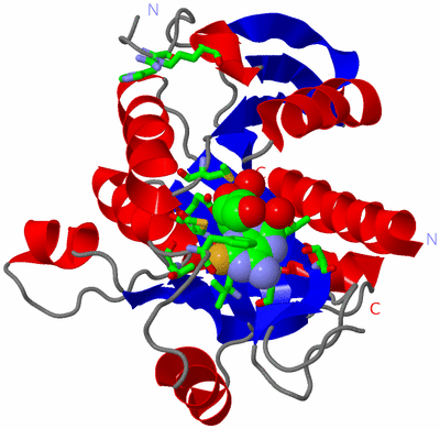 Image Asym. Unit - sites
