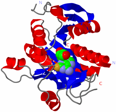 Image Asymmetric Unit