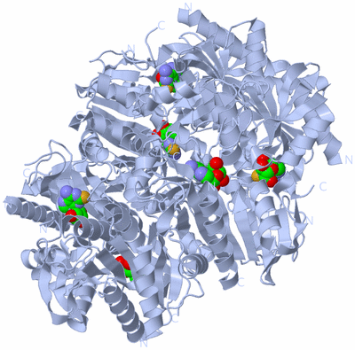 Image Biological Unit 1