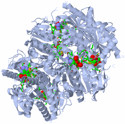Image Biol. Unit 1 - sites