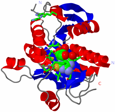 Image Asym. Unit - sites