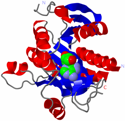 Image Asymmetric Unit