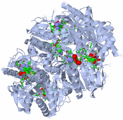 Image Biol. Unit 1 - sites