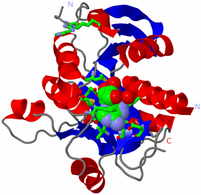 Image Asym. Unit - sites