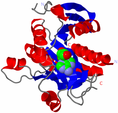 Image Asymmetric Unit