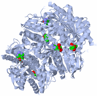 Image Biological Unit 1