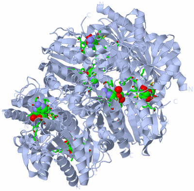 Image Biol. Unit 1 - sites