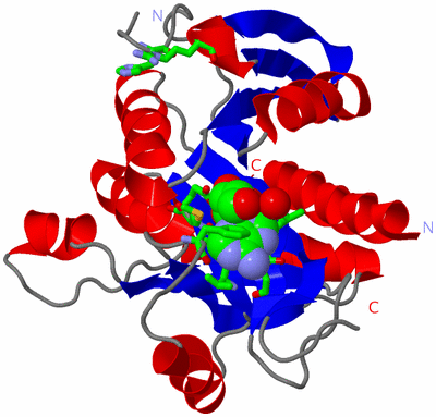Image Asym. Unit - sites