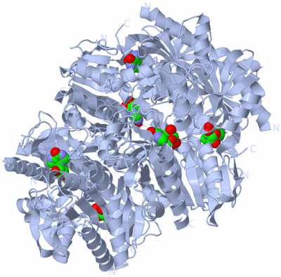 Image Biological Unit 1