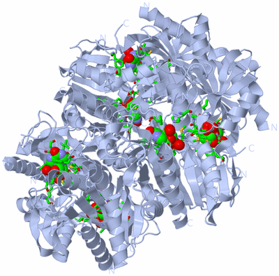Image Biol. Unit 1 - sites