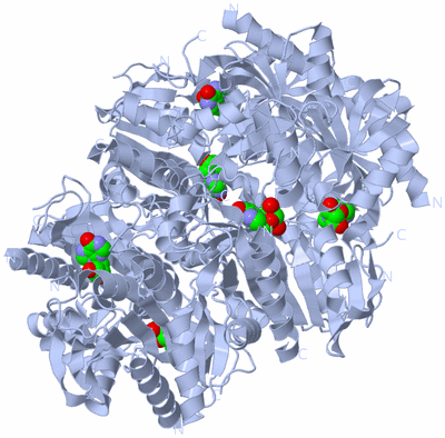 Image Biological Unit 1