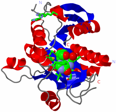 Image Asym. Unit - sites