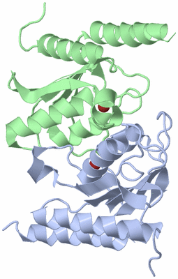 Image Asym./Biol. Unit