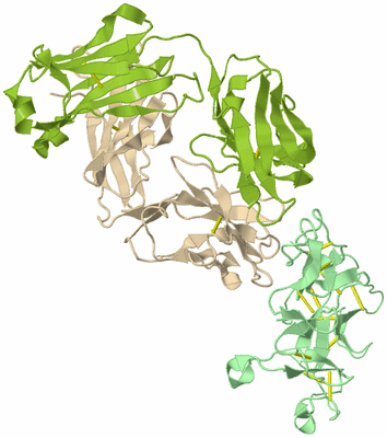 Image Biological Unit 2