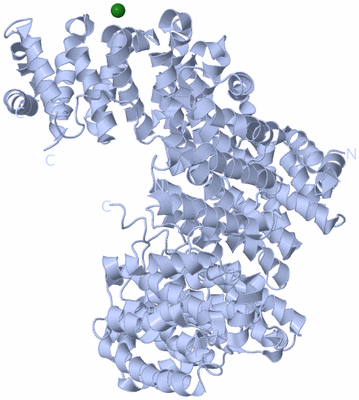 Image Biological Unit 1