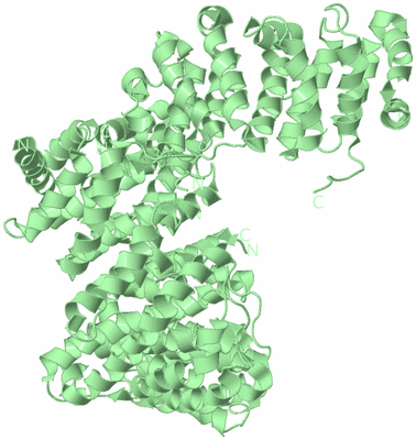 Image Biological Unit 2