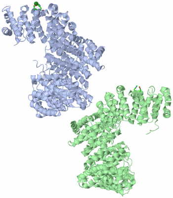 Image Asym. Unit - sites