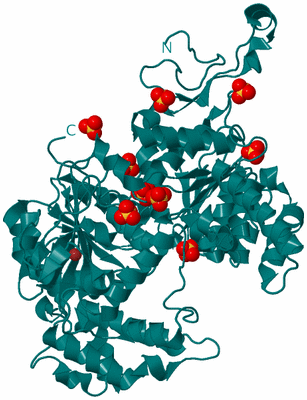 Image Biological Unit 1