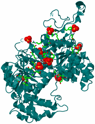 Image Biol. Unit 1 - sites