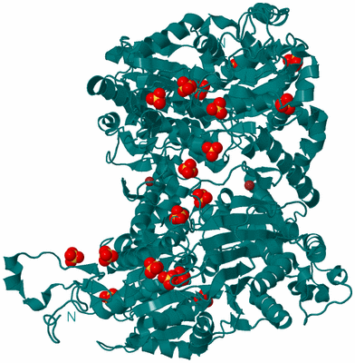 Image Biological Unit 3