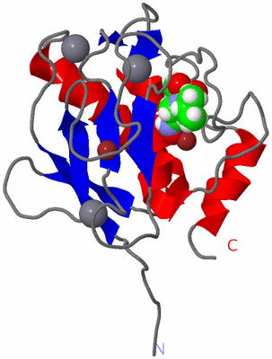 Image NMR Structure - model 1