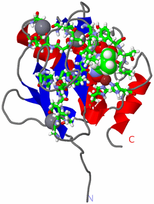 Image NMR Structure - model 1, sites