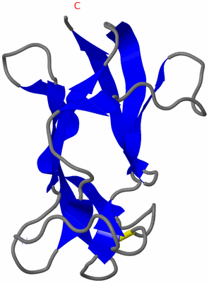 Image NMR Structure - model 1