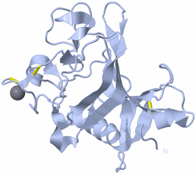 Image Biological Unit 1