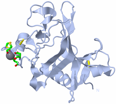 Image Biol. Unit 1 - sites